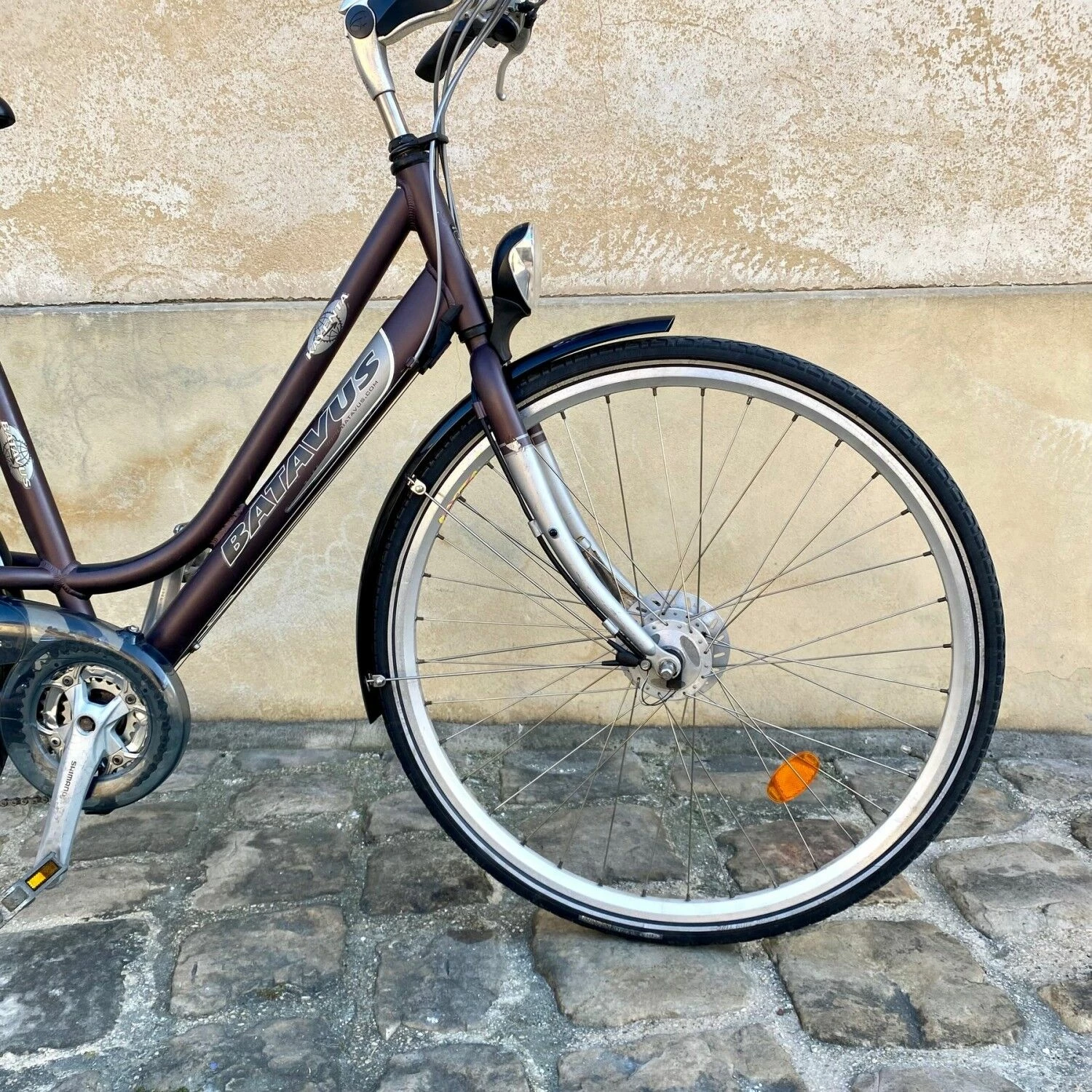 Vélo Tout Chemins Batavus 3 Vélo Tout Chemins Batavus – Image 3