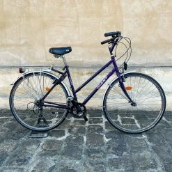 Vélo Tout Chemins Giant